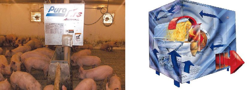 Современные системы отопления в свиноводстве